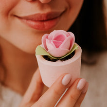 Garden Party Mallow