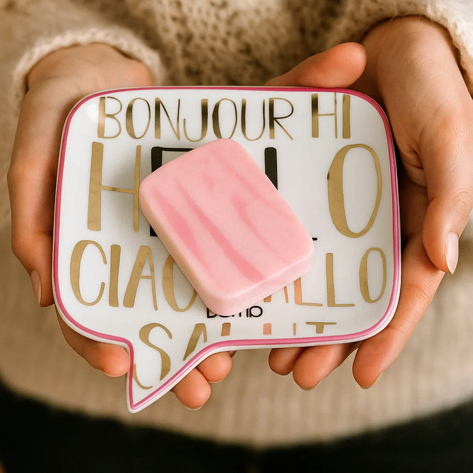 Hello All Language Soap Dish