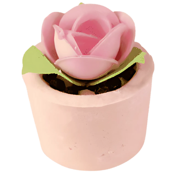 Garden Party Mallow