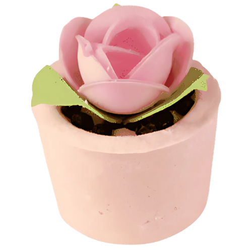 Garden Party Mallow