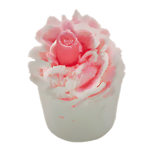 Raspberry Riptide Mallow