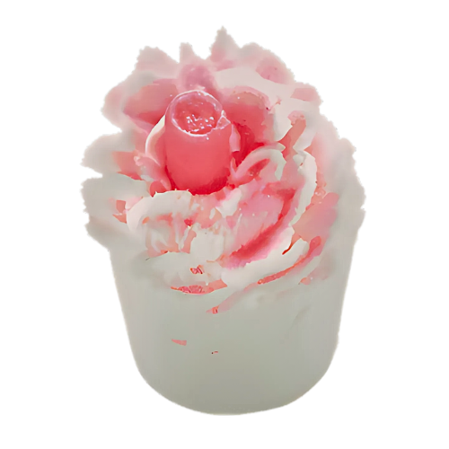 Raspberry Riptide Mallow