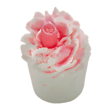 Raspberry Riptide Mallow