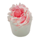 Raspberry Riptide Mallow