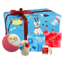Santa Paws Gift Pack