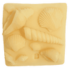 What the Shell
