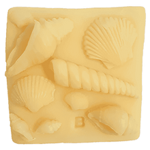 What the Shell